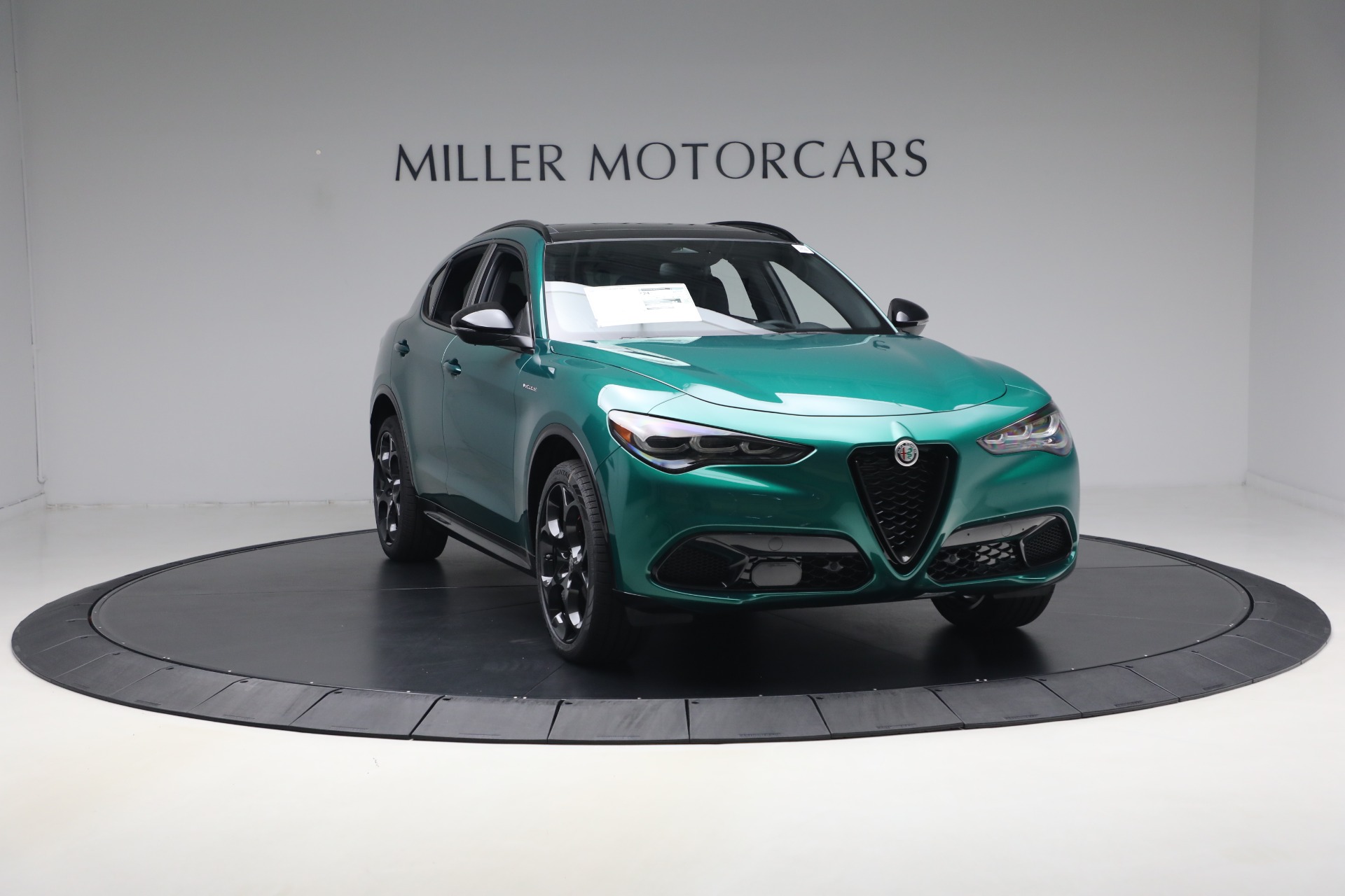 2026 Alfa Romeo Stelvio Base - Photo 10
