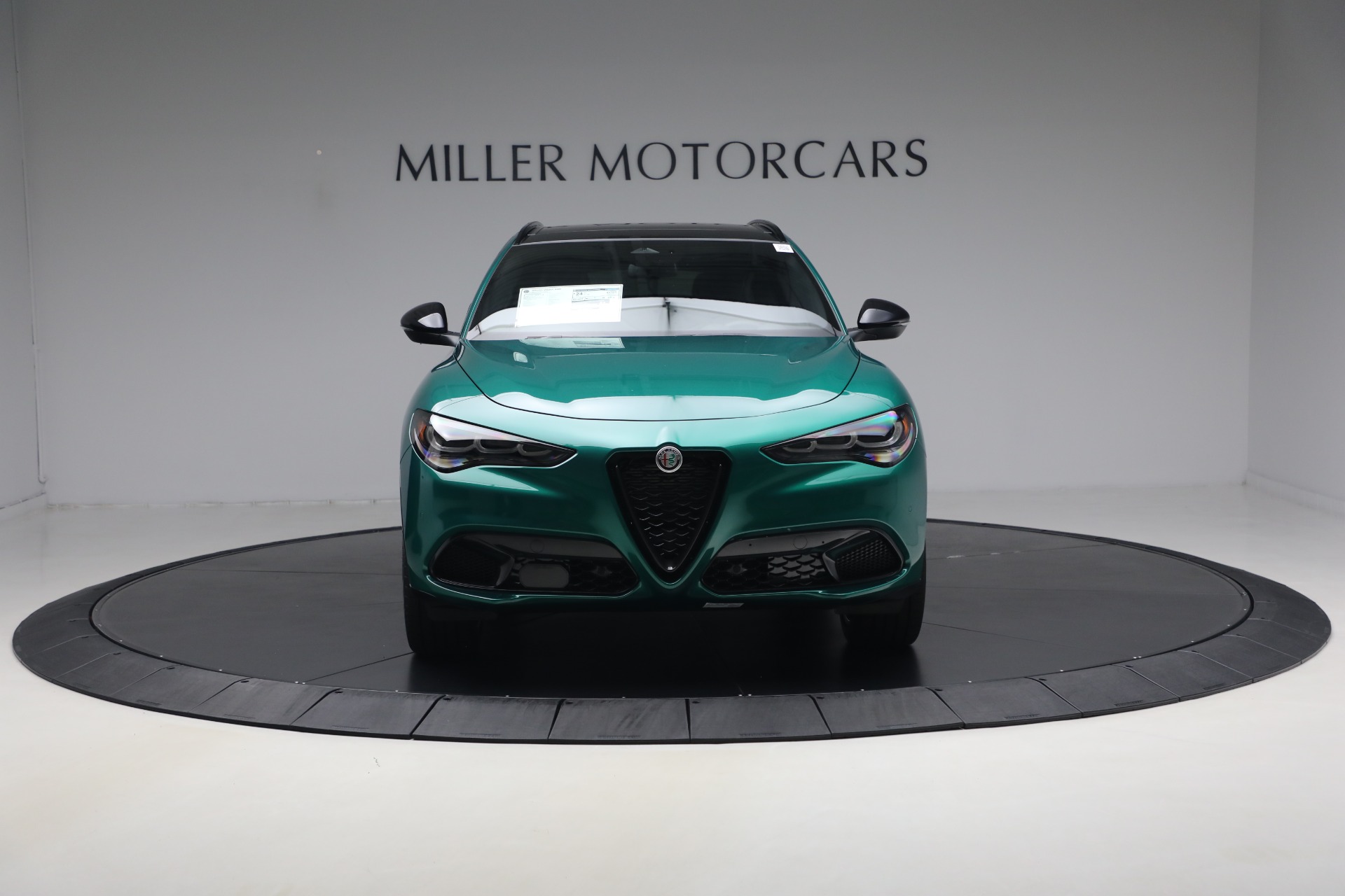 2026 Alfa Romeo Stelvio Base - Photo 11